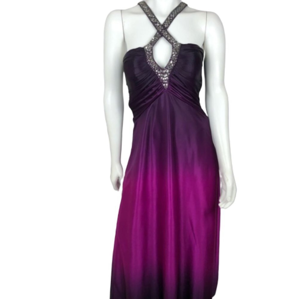 Party Dress Purple Party Gown Gorgeous!!!! Stunning HAILEY Adrianna Papell EUC